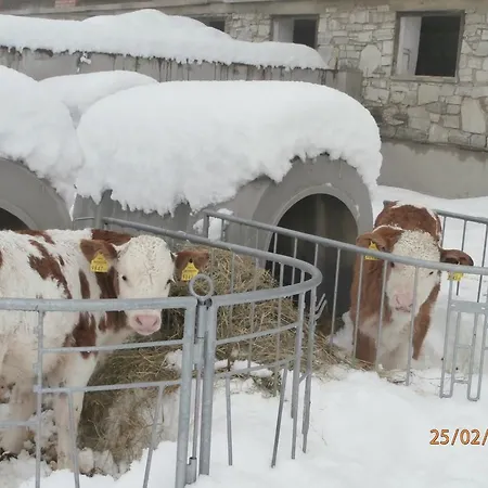 Farm stay Poelzlhof *